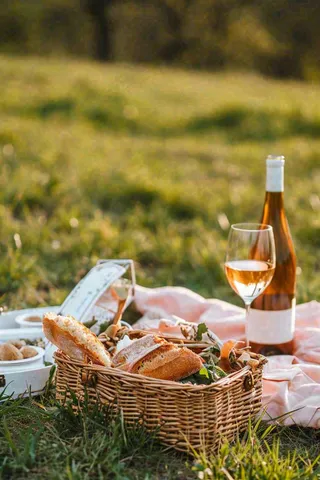 春天户外草坪野餐篮子露营食物酒面包摄影