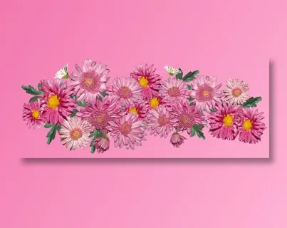 花朵, 菊花, 粉色的, 安排 花朵, 菊花, 粉色的, 安排