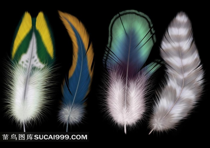 高清彩色羽毛设计图片