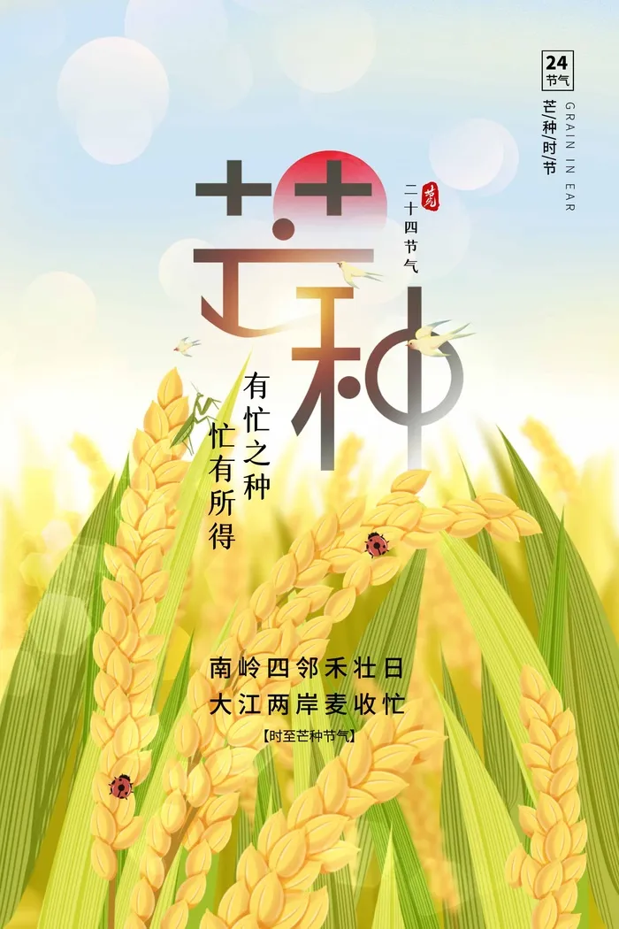 芒种 芒种海报图片psd模版下载