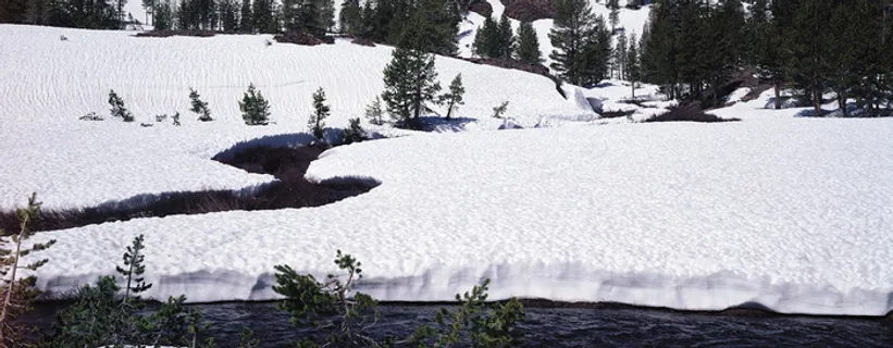 雪景  白雪 大雪  高清雪景  树林  森林雪景 松树 雪景  白雪 大雪  高清雪景  树林  森林雪景 松树
