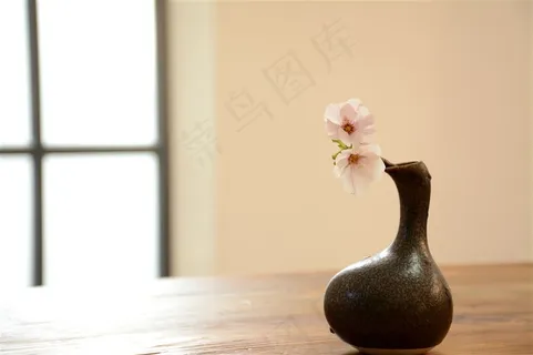 桌面上的静物小花