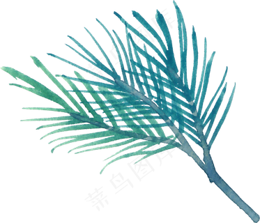 冬季圣诞节花卉果花圈植物免抠海报PNG素材