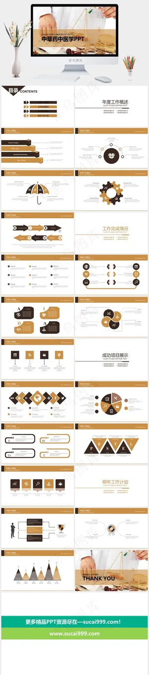 中药中医治病PPT模板ppt模版