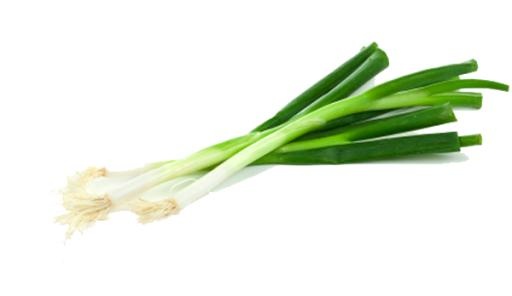 韭菜免抠(600x348)