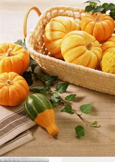 竹篮里满载收获的金色的南瓜 竹篮里满载收获的金色的南瓜