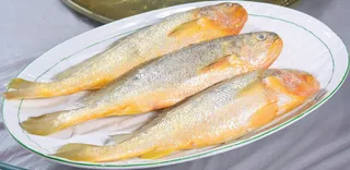 红烧黄花鱼  25元条