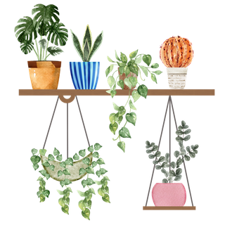 手绘小清新植物PNG免扣素材