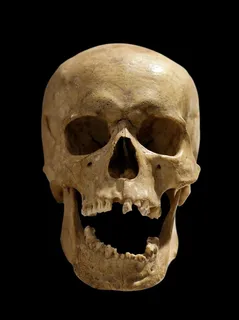 恐怖的死亡骷髅高清图片 恐怖的死亡骷髅高清图片