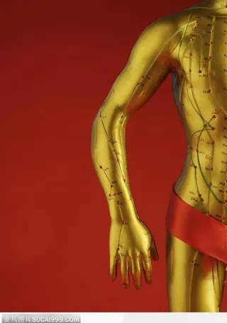 中医医疗-人体躯干穴位