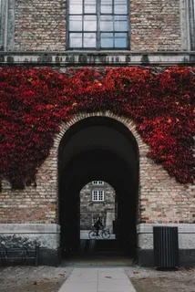 欧式唯美城市建筑