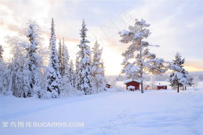 冬季雪天自然美景