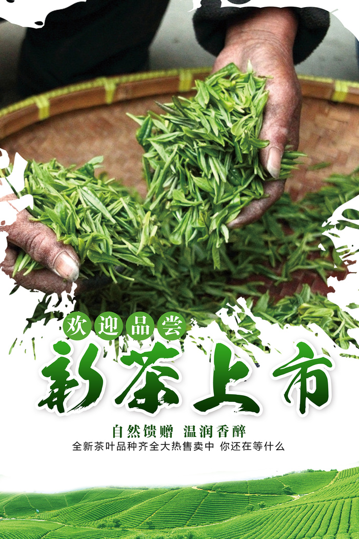 创意春季茶叶促销春茶上市海报psd模版下载