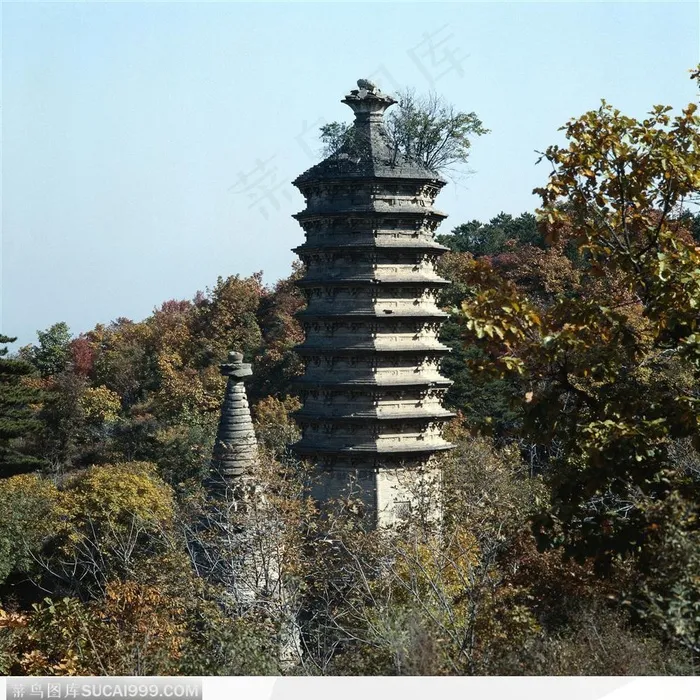 宝塔建筑-树林中的灰色宝塔