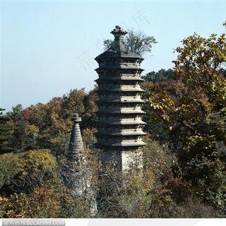 宝塔建筑-树林中的灰色宝塔