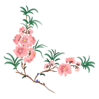 春天浪漫粉红色樱花手绘樱花梅花桃花花朵图片PNG免扣素材