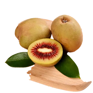 47猕猴桃 (1)水果超市商品白底图免抠实物摄影png格式图片透明底