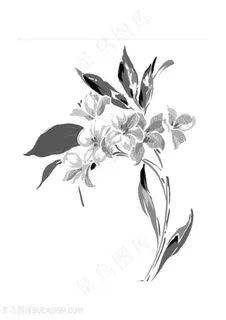 水墨花卉图片