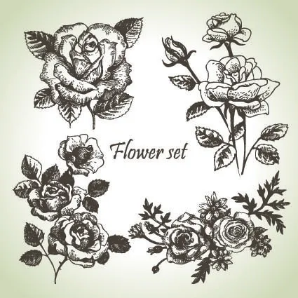 花朵花瓣花束失量背景图eps,ai矢量模版下载