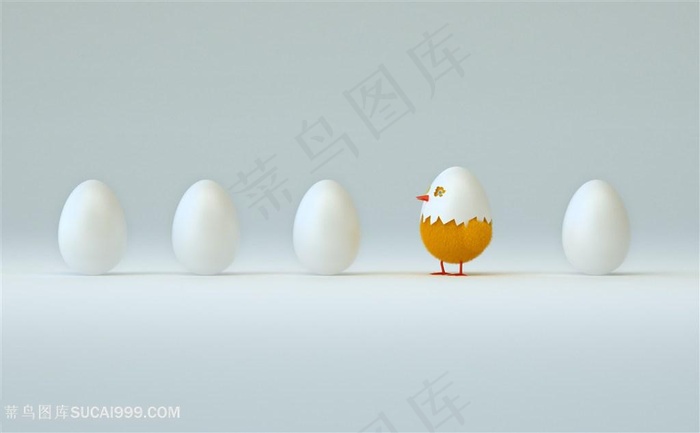 鸡蛋与小鸡创意高清图片