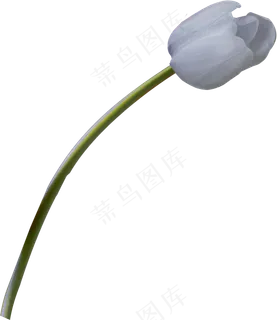 一朵花之二 一朵花之二