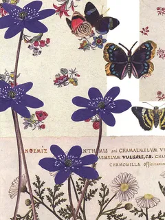 蝶恋花艺术插画高清油画 蝶恋花艺术插画高清油画