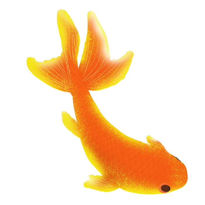 手绘烫金国潮中国风卡通锦鲤鱼金鱼插画装饰元素PSD设计素材