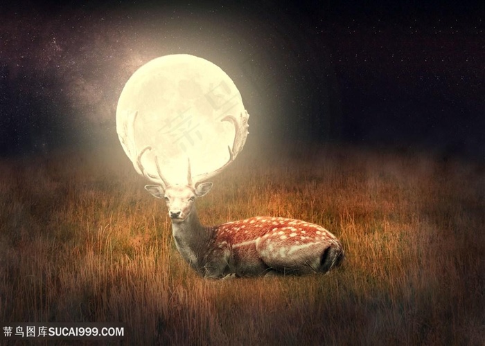 鹿与月亮唯美夜景
