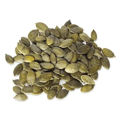 南瓜子 PNG免抠(550x550)