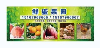 绿色果园颜值海报清新健康