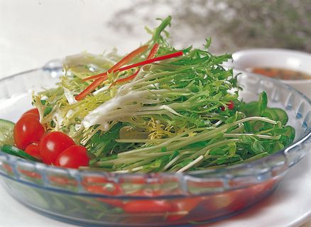 0911LCS-960田园大拌菜