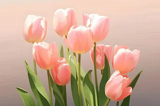 唯美淡雅清新郁金香背景