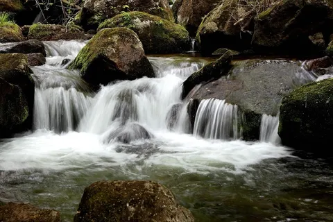 山林间的溪水激流 山林间的溪水激流