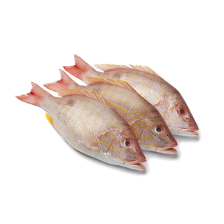 鱼类(77)海鲜超市商品红酒白底图免抠实物摄影png格式图片透明底