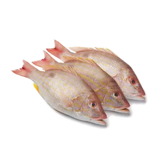 鱼类(77)海鲜超市商品红酒白底图免抠实物摄影png格式图片透明底