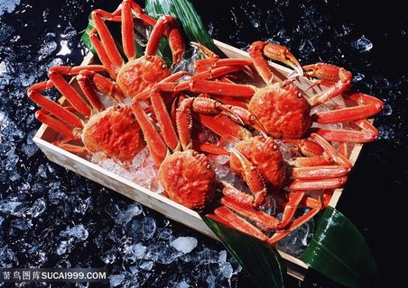 冷鲜长腿大闸蟹海鲜美食图片