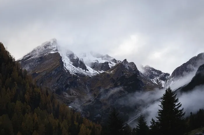 冬天白色背景风景