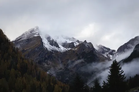 冬天白色背景风景 冬天白色背景风景