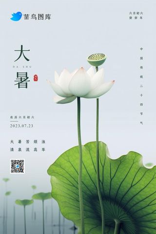 大暑简约大气白莲花节气海报