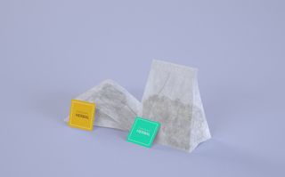 高端品牌茶叶包装盒纸袋智能贴图样机产品效果图展示PSD素材模板