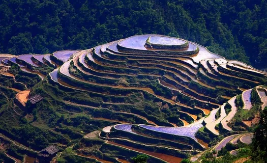 贵州加榜梯田风景图 贵州加榜梯田风景图