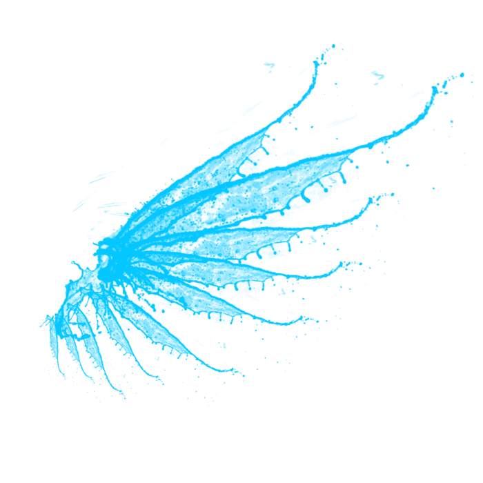 水花 水花翅膀