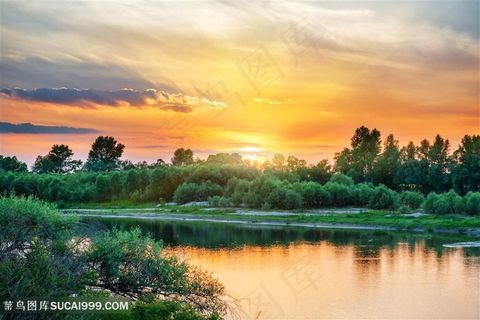 黄昏下的森林湖泊景色高清图片