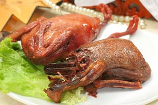 鸪 丁鸟 108元只  小野鸭45元只 (4)