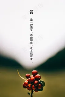 森系文艺范说说图片 森系文艺范说说图片