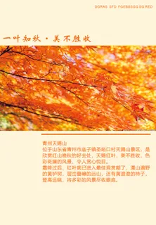 秋季旅游海报风景