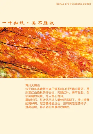 秋季旅游海报风景