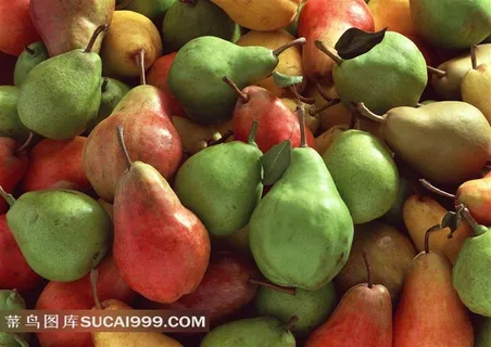 梨子高清图片设计素材