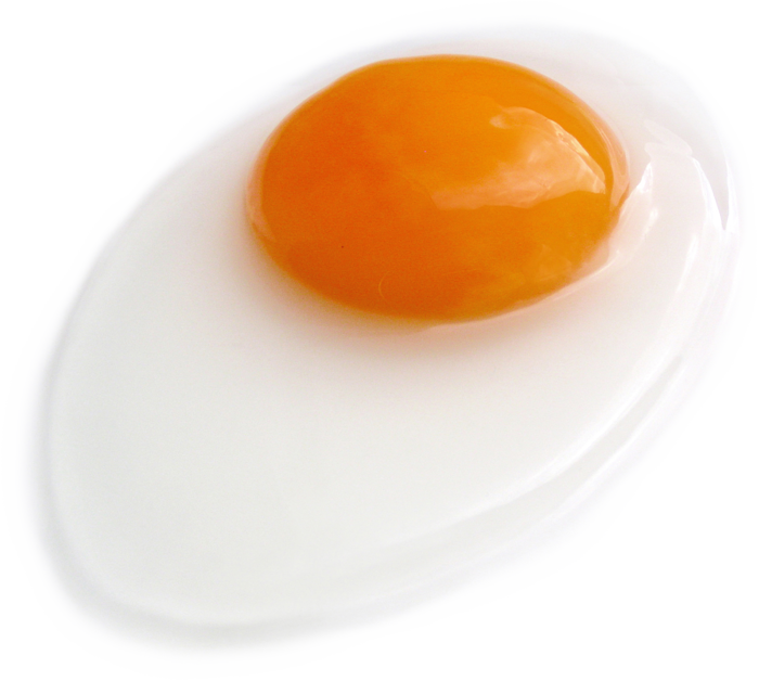 鸡蛋  鸡蛋  鸡蛋