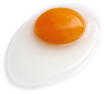 鸡蛋  鸡蛋  鸡蛋